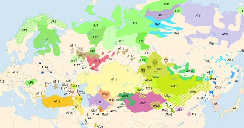 Bu ülkelerde Türkçe resmi dil olarak kabul edildi! Giden yabancılık çekmiyor Sözcü Gazetesi