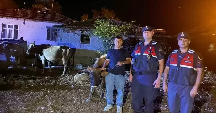 Hayvanları kaybolan çiftçinin imdadına Jandarma ekipleri yetişti