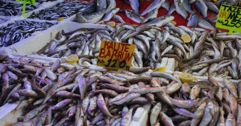 Hamsi bolluğu fiyatları düşürdü