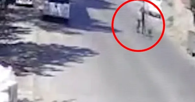 Sözde hayvansever yaşlı adama dehşeti yaşattı: ‘Köpeklerimi sen mi şikayet ettin?’ deyip saldırdı VİDEO İZLE