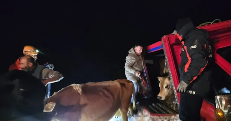 Yaylada içinde 15 kişi olan araçların üzerine çığ düştü