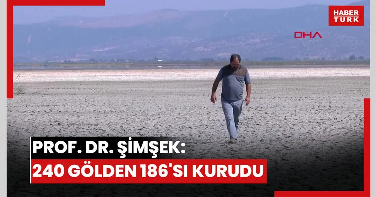 Prof. Dr. Şimşek: 240 gölden 186 sı kurudu