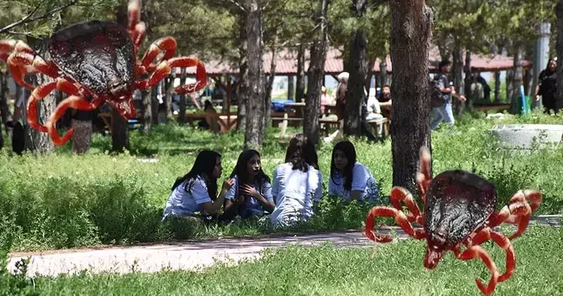 Keneden ölümler için mRNA aşısı umudu