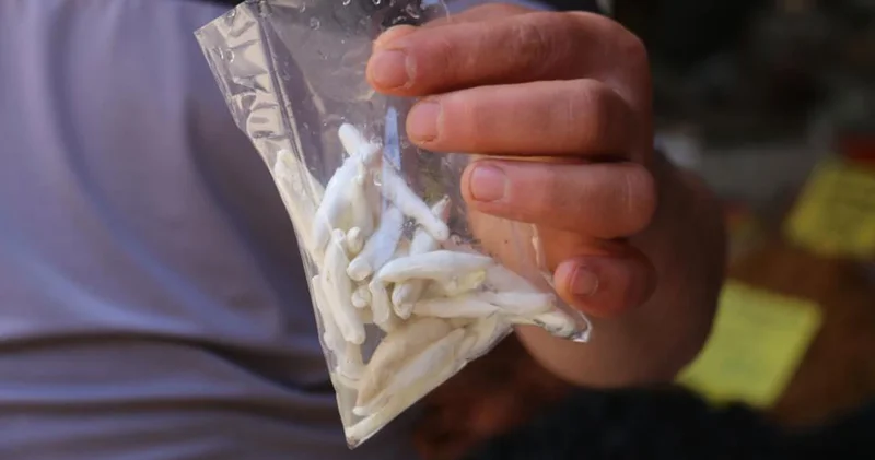 Dünyanın en pahalı sakızı Sivas ta! Fiyatı çeyrek altını geçti, yarımla yarışıyor!