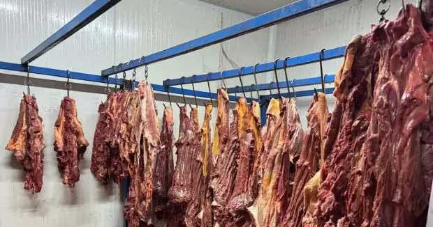 Bursa haberleri Adana da tonlarca bozulmuş tek tırnaklı hayvan eti ele geçirildi! 24 Mayıs 2025
