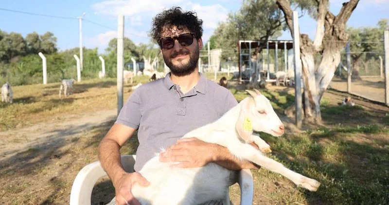 Doktoralı çoban! Kızına taze süt içirme isteği hayatını değiştirdi