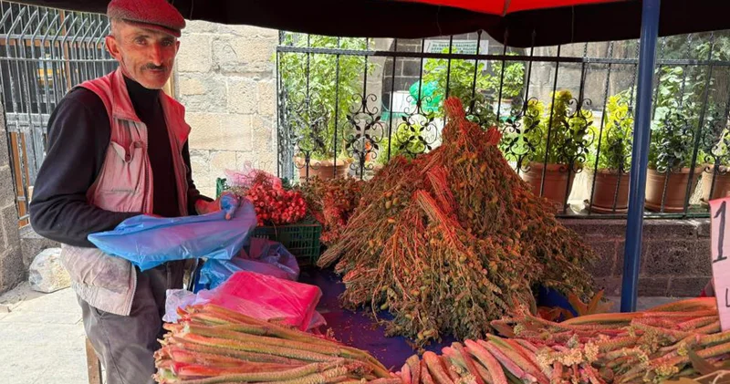 Dağ muzu, ribes, ışkın, hire... Yüzyıllardır kullanılan bitki sağlık için şifa kaynağı