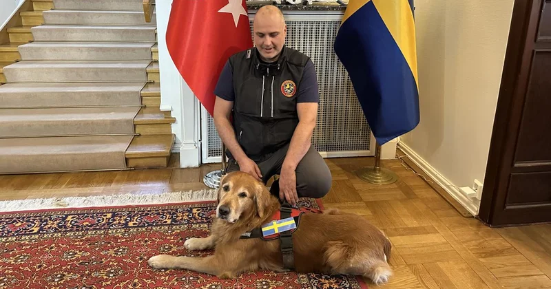 Asrın felaketinde 18 kişiyi kurtaran kahraman köpek hayatını kaybetti