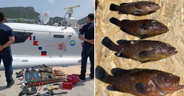 Yasa dışı orfoz balığı avına 31 bin lira ceza Antalya Haberleri