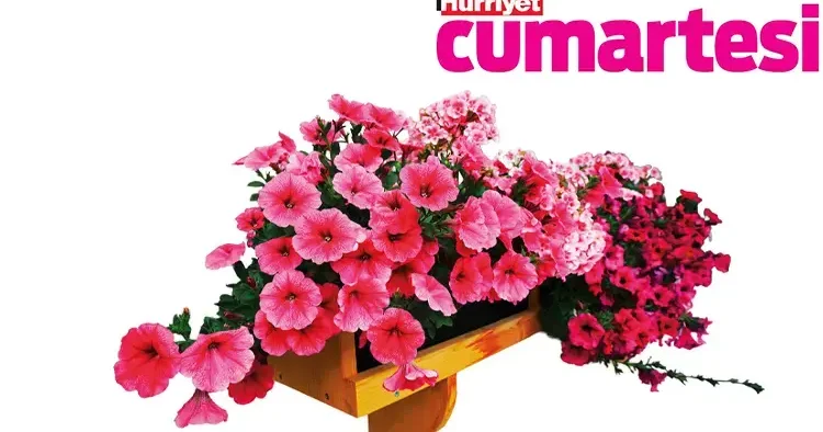 Bitkilerle iyi bir ilişki kurmak için...