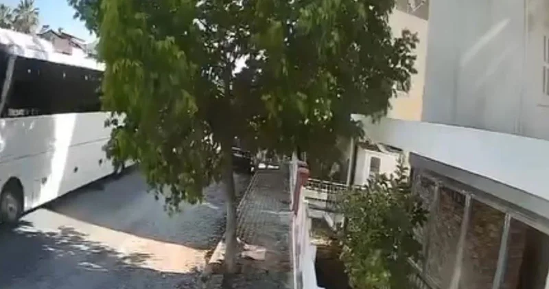 Büyük tepkiye neden oldu! Aydın da otobüs şoförü sokak köpeğini ezdi