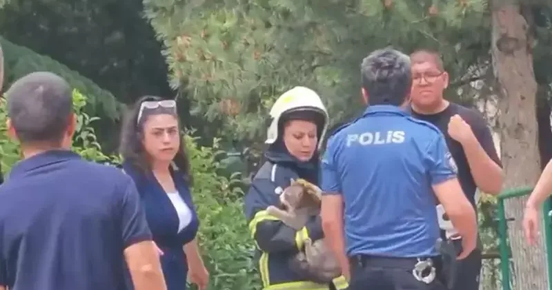 Yangın çıkan dairede mahsur kalan kediyi, itfaiyeci Melisa kurtardı