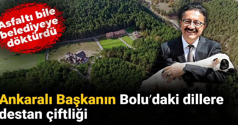 Ankaralı Başkanın Bolu daki dillere destan çiftliği: Asfaltı bile belediyeye döktürdü