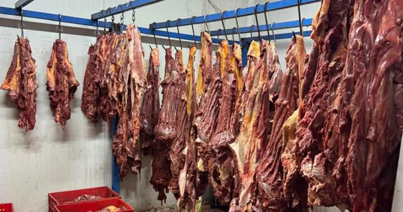Adres Adana! 3 ton bozulmuş at eti ele geçirildi
