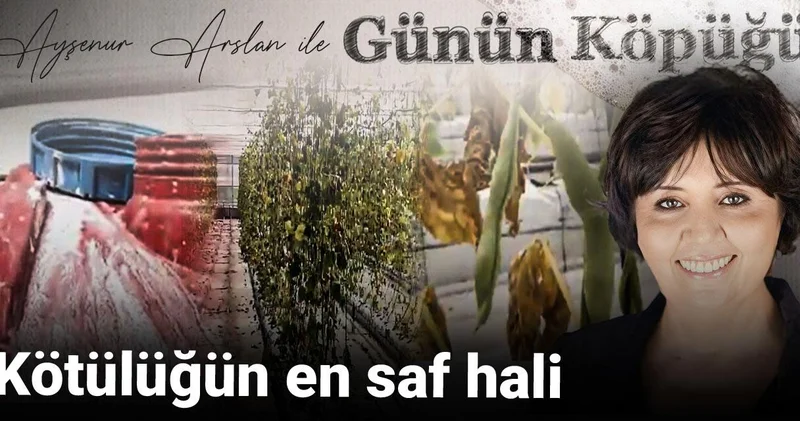 Kötülüğün en saf hali
