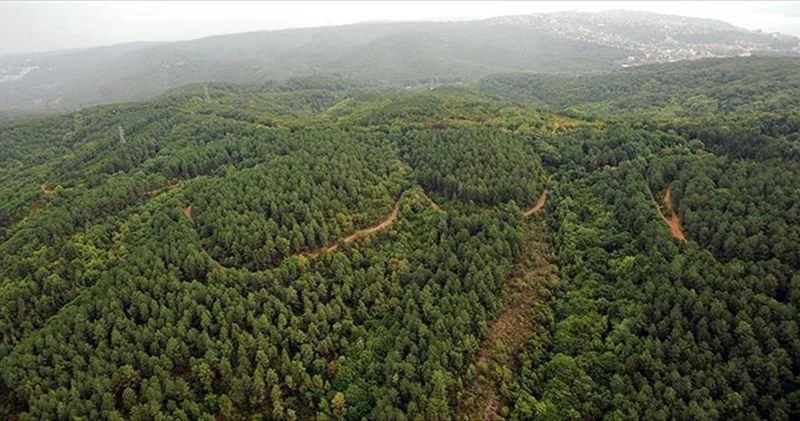Kahramanmaraş ta ormanlık alanlara girişler yasaklandı Güncel haberler