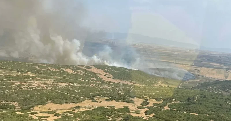 Son dakika... İzmir Foça da korkutan yangın! Müdahaleler sürüyor