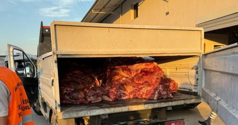 3 ton tek tırnaklı hayvan eti ele geçirildi Son dakika haberleri