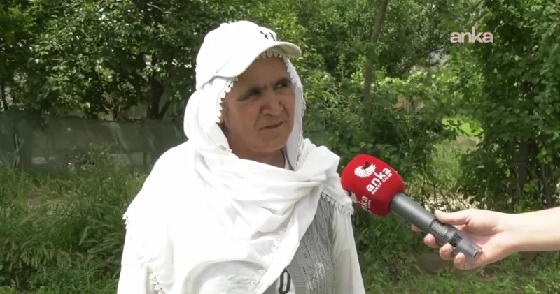 Maydonoz üreticisi isyan etti: Hükümetin tek derdi İmamoğlu