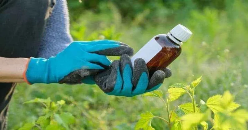 Tarım ilacı içen kadına müdahaleye gittiler: 3 sağlıkçı tedavi altına alındı