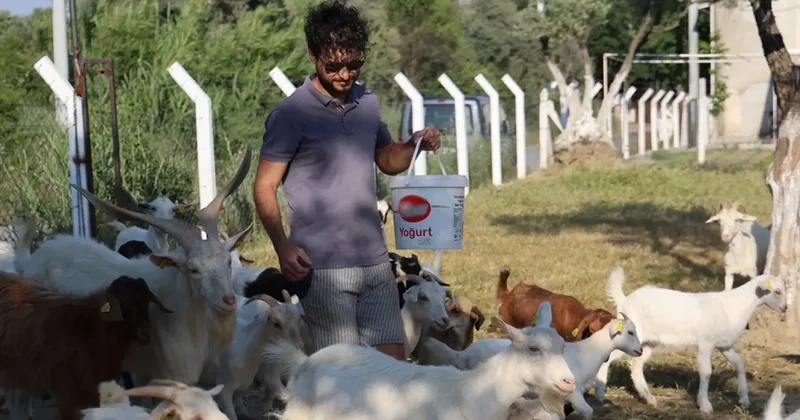 İki üniversite mezunu, yaptığı işi duyan şaşırıyor