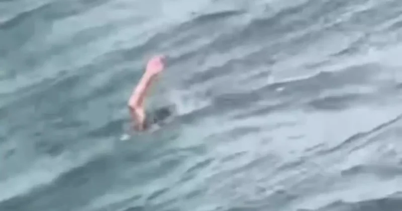 Boğaz da boğulma tehlikesi! Küçük kız vapurdan düştü... O anlar kamerada