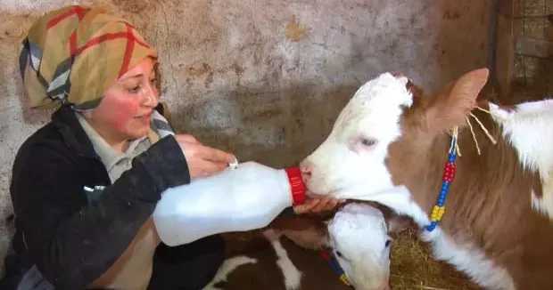 Ankara haberleri Kadınsın yapamazsın diyenlere kulak asmadı, çiftlik kurdu 24 Mayıs 2025