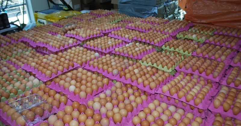 Yumurta fiyatlarını yarı yarıya düşüren gelişme