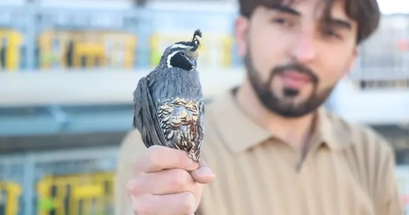 Yapamazsın Dediler! Şimdi 4 Bin Liradan Satıyor