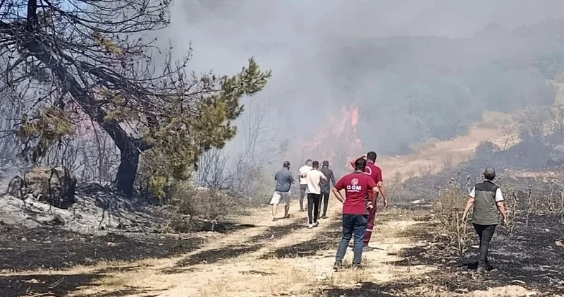 Piknikte semaver yakarken orman yangınına neden olan kadına ev hapsi