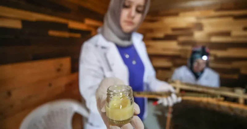 4 arkadaş eşleriyle ürettikleri arı sütünü kilosu 45 bin liradan satıyor