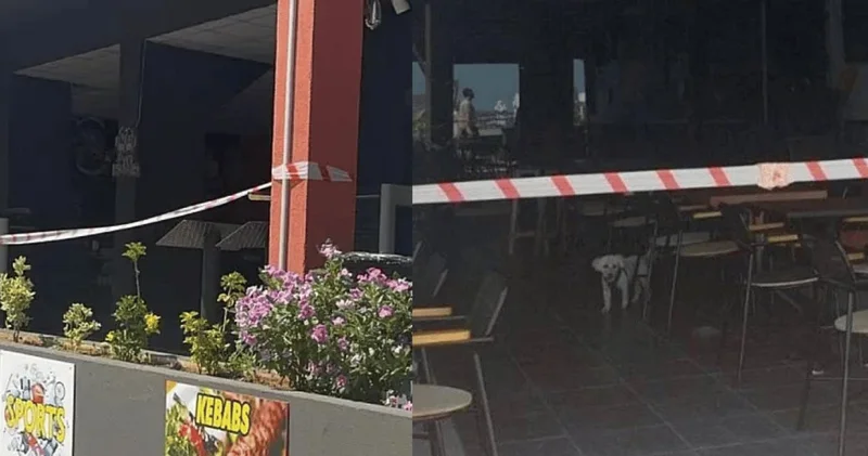 Marmaris te 2 si süresiz 25 işletme kapatma, çalışanlara cinsel saldırı suçlaması!