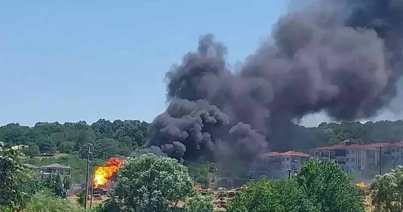 Sakarya Orman İşletme Müdürlüğü nün deposunda yangın; ormana da sıçradı