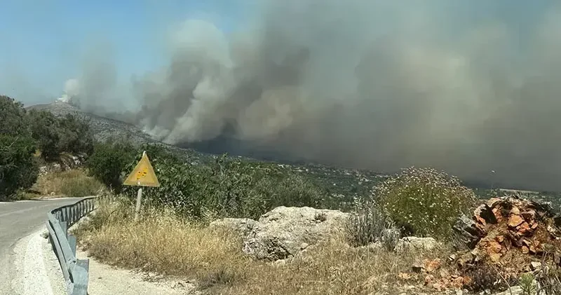 Sakız Adası’ndaki orman yangınında kundaklama şüphesi araştırılacak