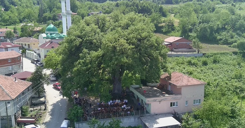 677 yıllık sessiz tarih: Hala ayakta Sözcü Gazetesi