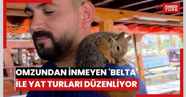 Omzundan inmeyen Belta ile yat turları düzenliyor