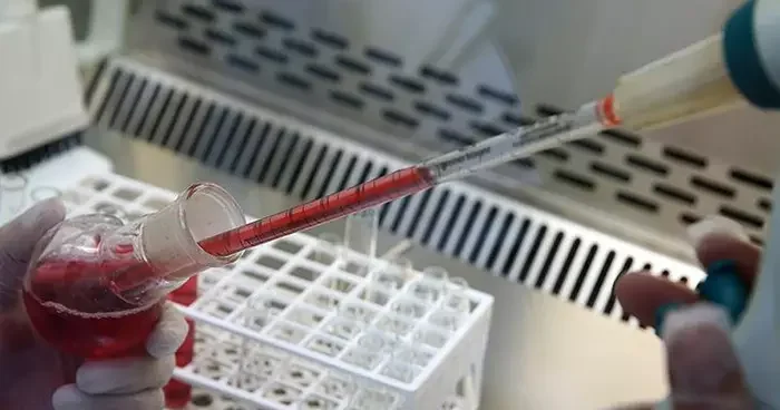 Bilim dünyasında bir ilk: Yeni kan grubu keşfedildi! Ne kan alabiliyor ne verebiliyor...