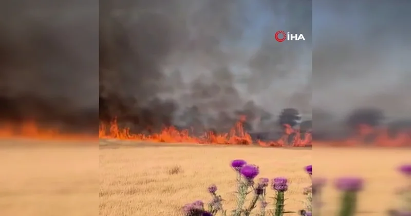 Susurluk Bandırma kara yolunda tarla yangını