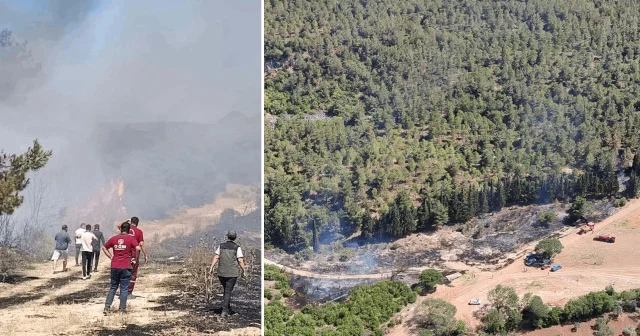 Semaver yakarken ormanı da yaktı: Gözaltına alınan kadına ev hapsi verildi Manisa Haberleri