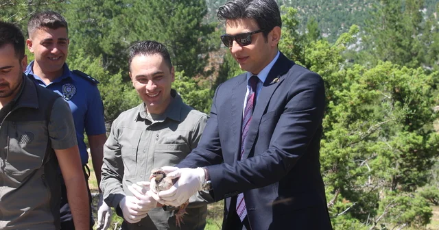 İbradı da 800 kınalı keklik doğaya salındı Antalya Haberleri