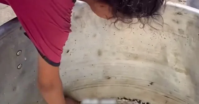 Gazze’de minik bedenler göz göre göre eriyor: Çocuklar bir lokmadan bile yoksun VİDEO İZLE