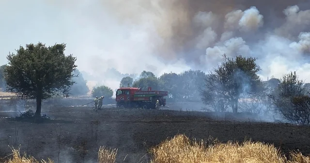 Çanakkale de tarım arazisinde başlayan yangına havadan ve karadan müdahale ediliyor Çanakkale Haberleri