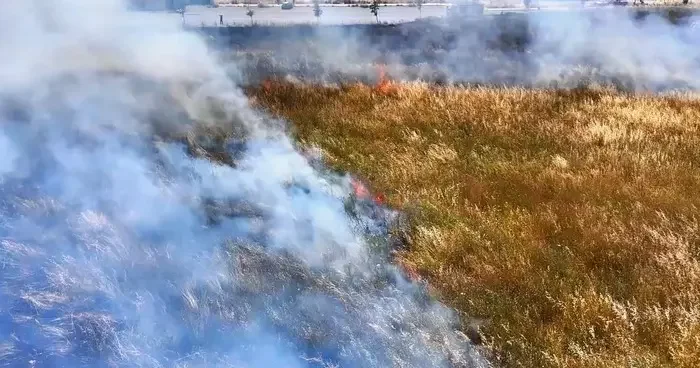 Küçükçekmece’de geniş otluk alanda çıkan yangın paniğe neden oldu