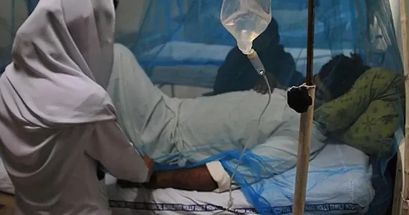 Zimbabve de Sıtma Ölümleri Artıyor