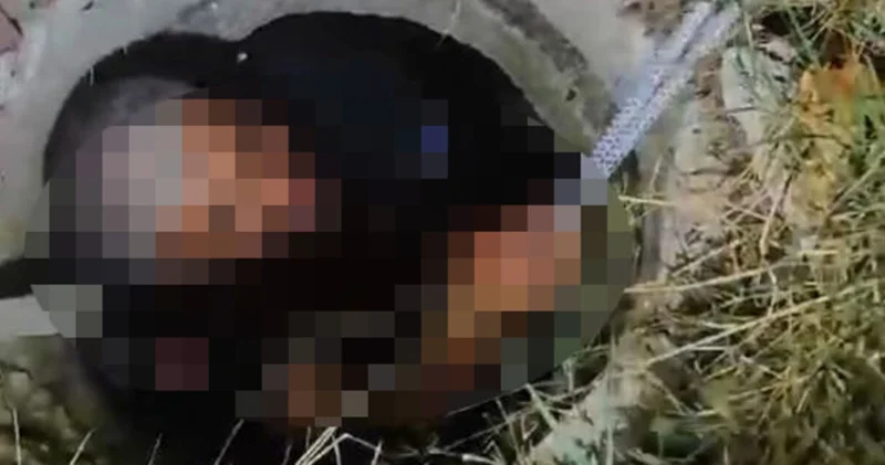 Borçlusunu foseptik çukuruna atmıştı! Yargıtay dan karar SON DAKİKA HABERİ Son dakika haberleri