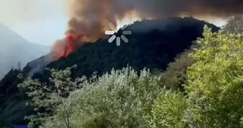 Meclis üyesine yangın paylaşımı nedeniyle gözaltı