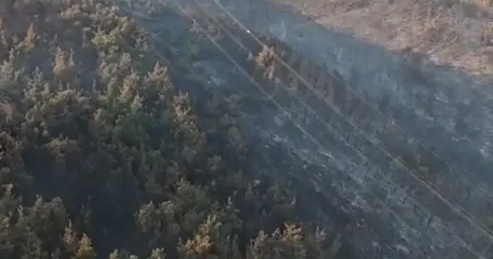 Manisa diken üstünde: Orman yangını 2. gününde devam ediyor