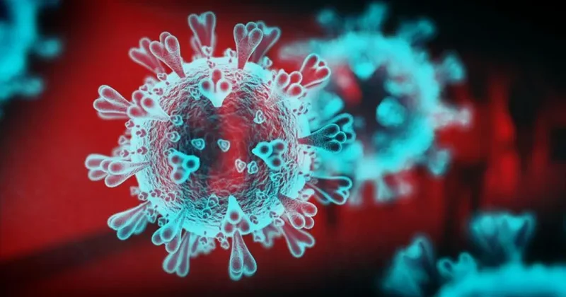 DSÖ den Chikungunya uyarısı: 5,6 milyar kişi risk altında! Türkiye de de görüldü