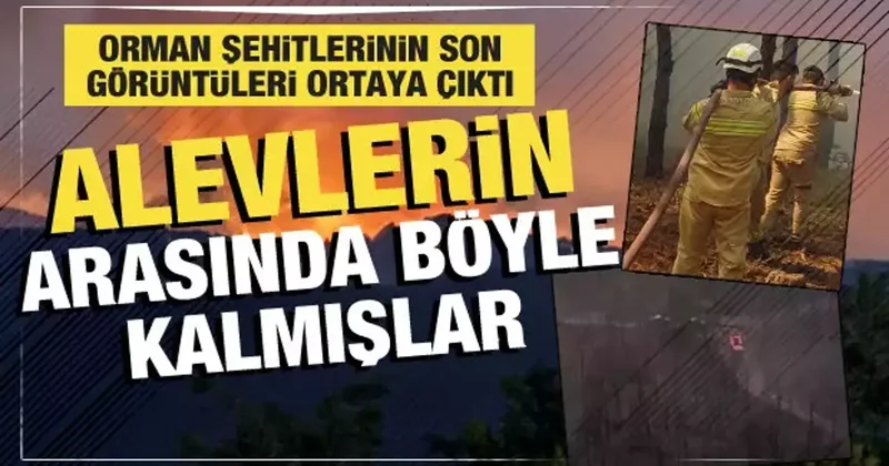 Orman şehitlerinin son görüntüleri ortaya çıktı