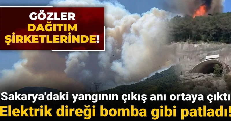 Sakarya daki yangının çıkış anı ortaya çıktı: Elektrik direği bomba gibi patladı!